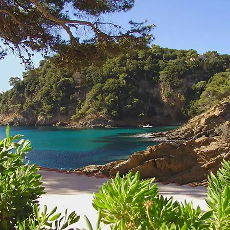 Aubanel Holiday home *